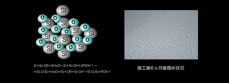 施工後6ヶ月後撥水状況