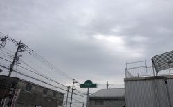 ついに