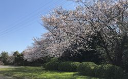 川崎へ