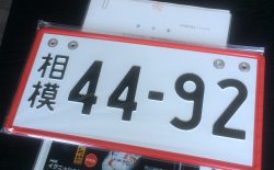念願の