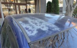 フィットの塗装剥がれ修理